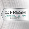 Regular Deodorant - 3.0 oz (4 Pack)
